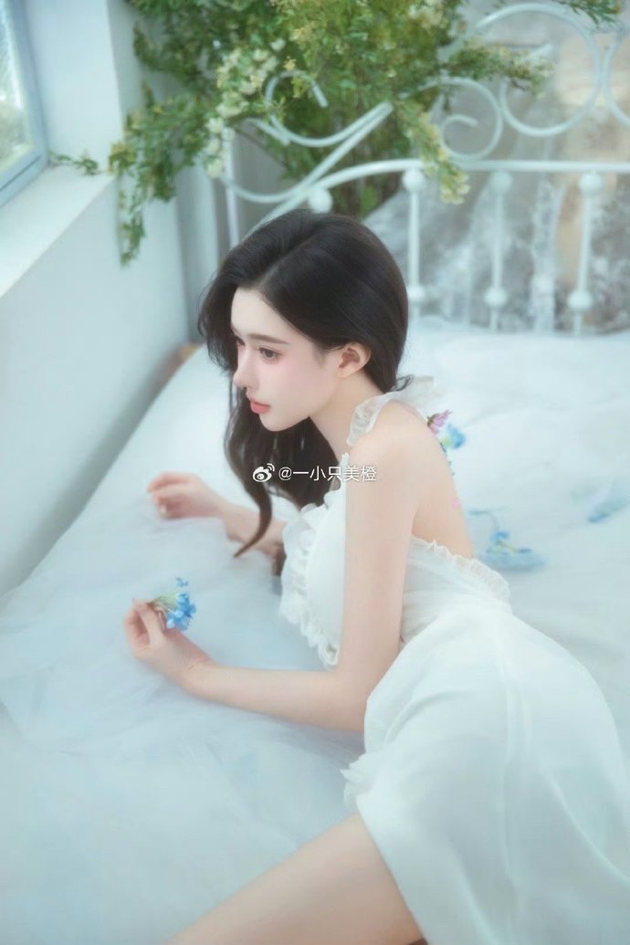 东京物语 封面